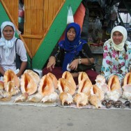 Borneo