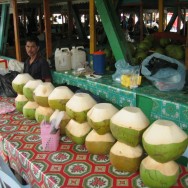 Borneo