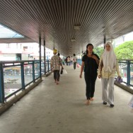 Borneo