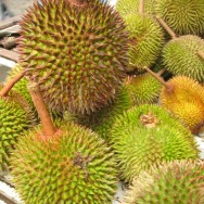Borneo