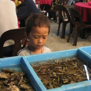 Borneo
