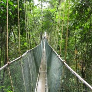 Borneo