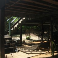 Borneo