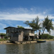 Borneo