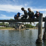 Borneo