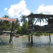 Borneo