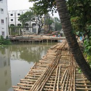 IMG_1962