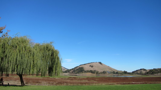 stafford lake