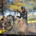 stafford10 thumbnail