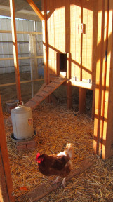 Johnson Family Ranch