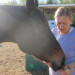 Johnson Family Ranch thumbnail