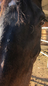 Johnson Family Ranch