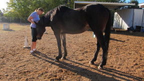 Johnson Family Ranch
