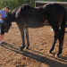 Johnson Family Ranch thumbnail