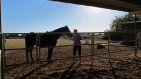 Johnson Family Ranch