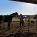 Johnson Family Ranch thumbnail