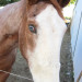 Johnson Family Ranch thumbnail