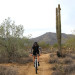White Tank Mountain Regional Park thumbnail