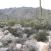 White Tank Mountain Regional Park thumbnail