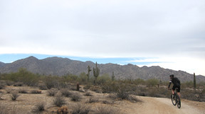 White Tank Mountain Regional Park