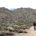White Tank Mountain Regional Park thumbnail