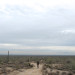 White Tank Mountain Regional Park thumbnail