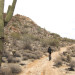 White Tank Mountain Regional Park thumbnail