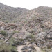 White Tank Mountain Regional Park thumbnail