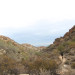 White Tank Mountain Regional Park thumbnail