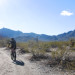 Estrella Mountain Regional Park thumbnail