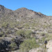 Estrella Mountain Regional Park thumbnail