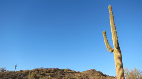 Trail 100, Phoenix Mountain Preserve