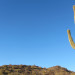 Trail 100, Phoenix Mountain Preserve thumbnail