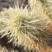 Trail 100, Phoenix Mountain Preserve thumbnail