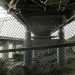pointmolate24 thumbnail