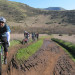 hill88_3 thumbnail