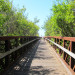 tunitascreek31 thumbnail