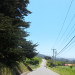 tunitascreek40 thumbnail