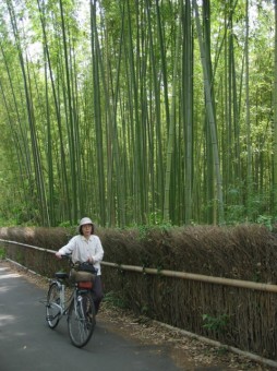 Bamboo + Bicycle