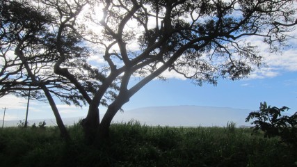 Haleakala in the Distance