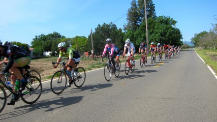 Lots of Cyclists Out on Putah Creek Road