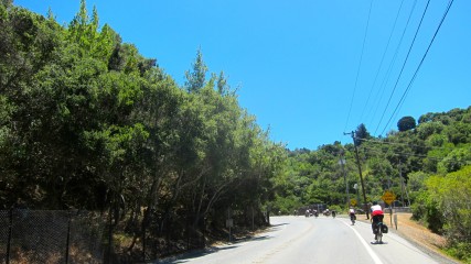 Polhemus Road
