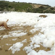 foamy fun