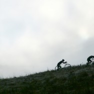 dfL mclaren park