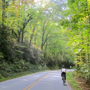 Fall Colors