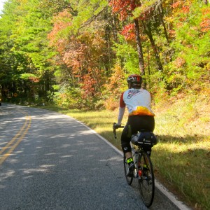 Fall Colors