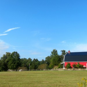 Red Barn