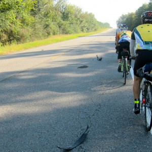 Tire Debris