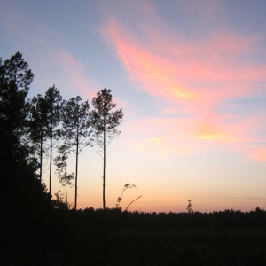 Sunset
